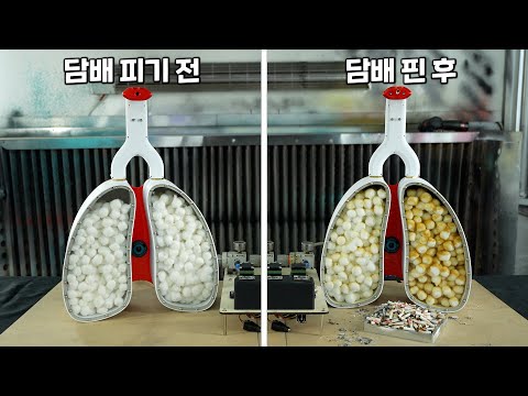 저타르 담배가 정말 더 안전할까? 직접 실험해봤습니다
