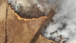 FIRES IN CHERNOBYL: Part 4. 2020-04-12