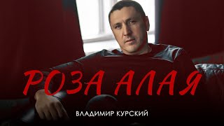 ВЛАДИМИР КУРСКИЙ - РОЗА АЛАЯ. ПРЕЗЕНТАЦИЯ АЛЬБОМА "ВОЛЧИЦА". МОСКВА.