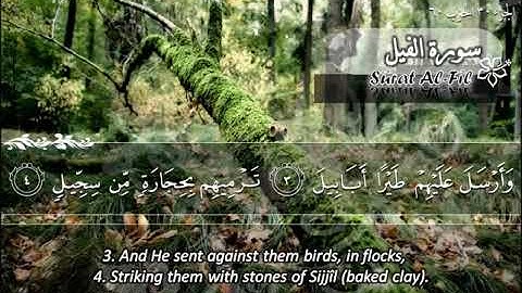 105 سورة الفيل ماهر المعيقلي Sûrat Al Fil Maher Al Muaiqly