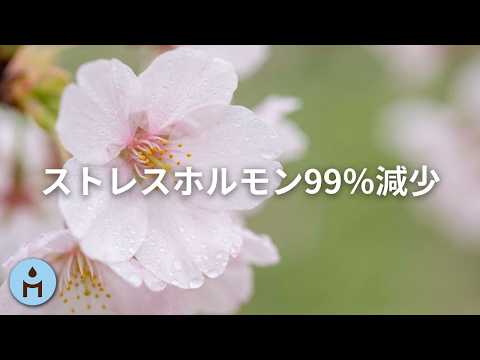 【ストレスホルモン99％減少】聴くだけで心の平安が訪れる癒しの音楽 ▶ 不安な心が落ち着く音楽