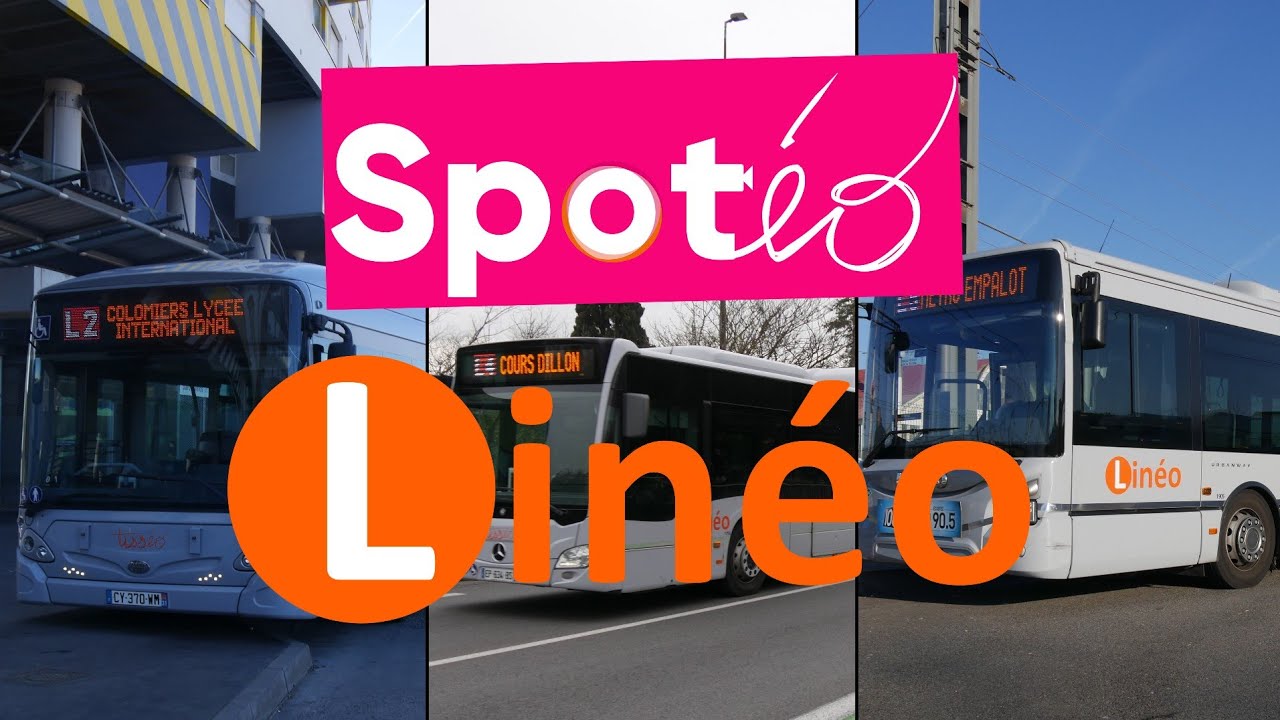 SPOTÉO • Le réseau Linéo