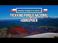 Trekking Parque Nacional Hornopiren, Carretera Austral, Expedición Patagonia 2019 Capítulo 1