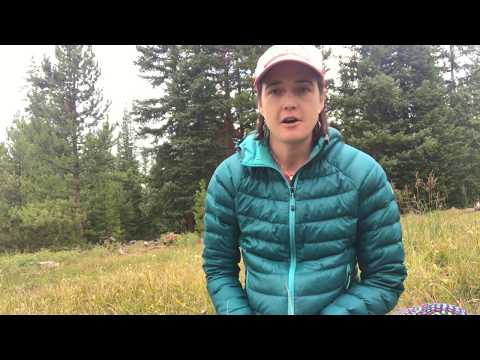 Mindful Monday Guided Meditation with Dr Brie