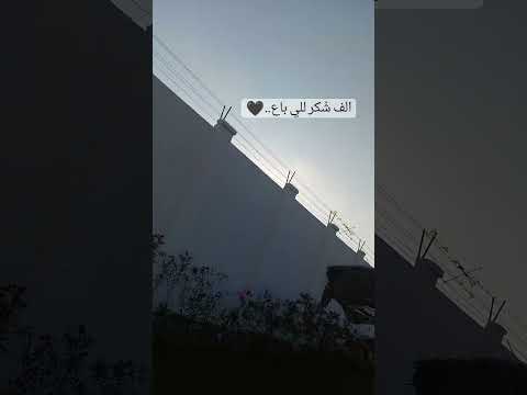 الف شكر للي باع