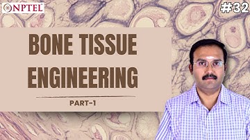 #32 Bone Tissue Engineering | Part 1 | Introduction to Tissue Engineering