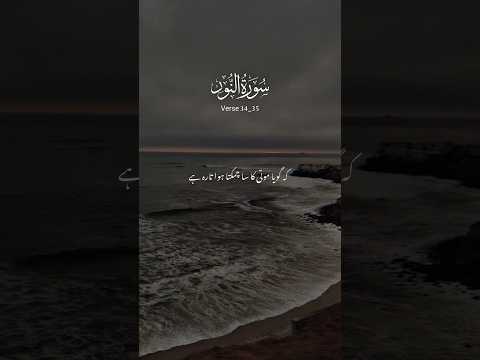 Surah nur verse 34_35 #shorts#quran #quranrecitation #qurantilawat #shortsfeed