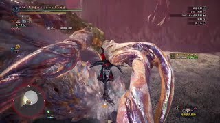 【MHW：IB：神裸袢消：重ね着衣装【インナーα】衣装♡【インナーβ】衣装：EXエスカドラβ：赤龍ノ呪ウ笛・氷♡】アン・イシュワルダ戦 狩猟笛ソロ 17’ 21” 21（オトモあり・転身の装衣なし）♡