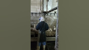 automatic chicken crates unloading machine in chicken slaughterhouse / dressing plant