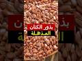 ملعقة واحدة من بذور الكتان في الصباح فوائد بذور الكتان بذور الكتان غذاء صحي أكل صحي معلومة