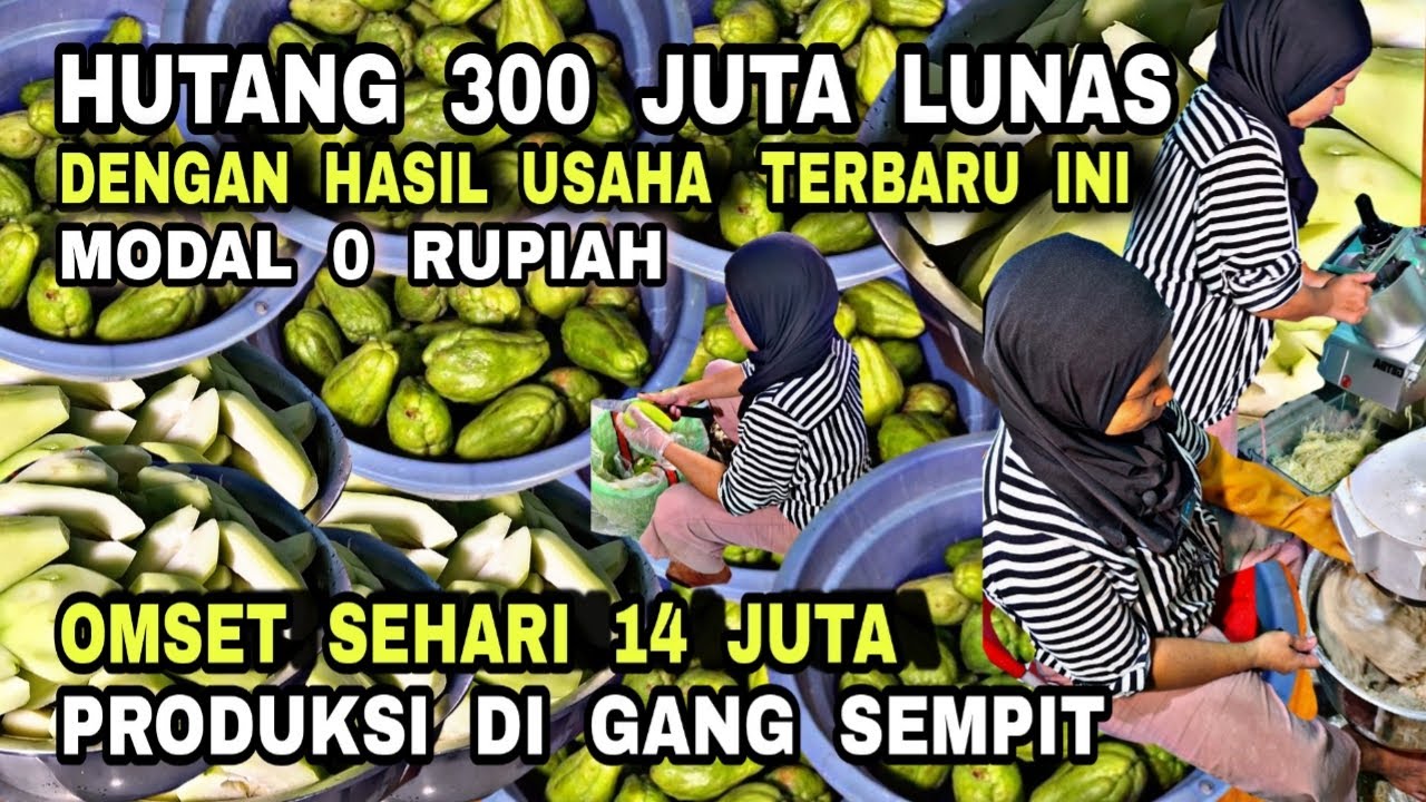 IDE USAHA MODAL 0 RUPIAH BIKIN HUTANG 300 JUTA LUNAS !! DIAJARI CARA BUATNYA MODEREN OMSET 14JT/HARI