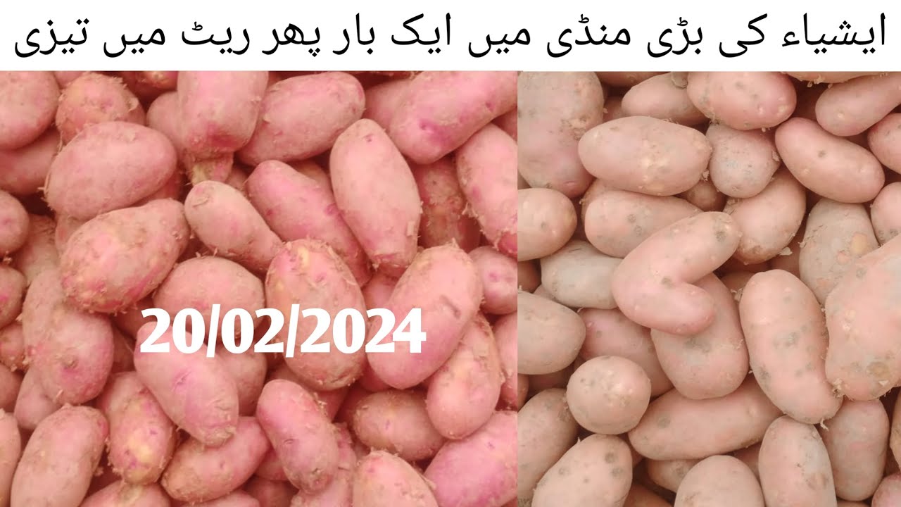 Sabzi mondi ke Rates Aloo kay rates Potato price in pakistan Aloo