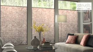 Steve&#39;s Exclusive Cellular Shades Collection