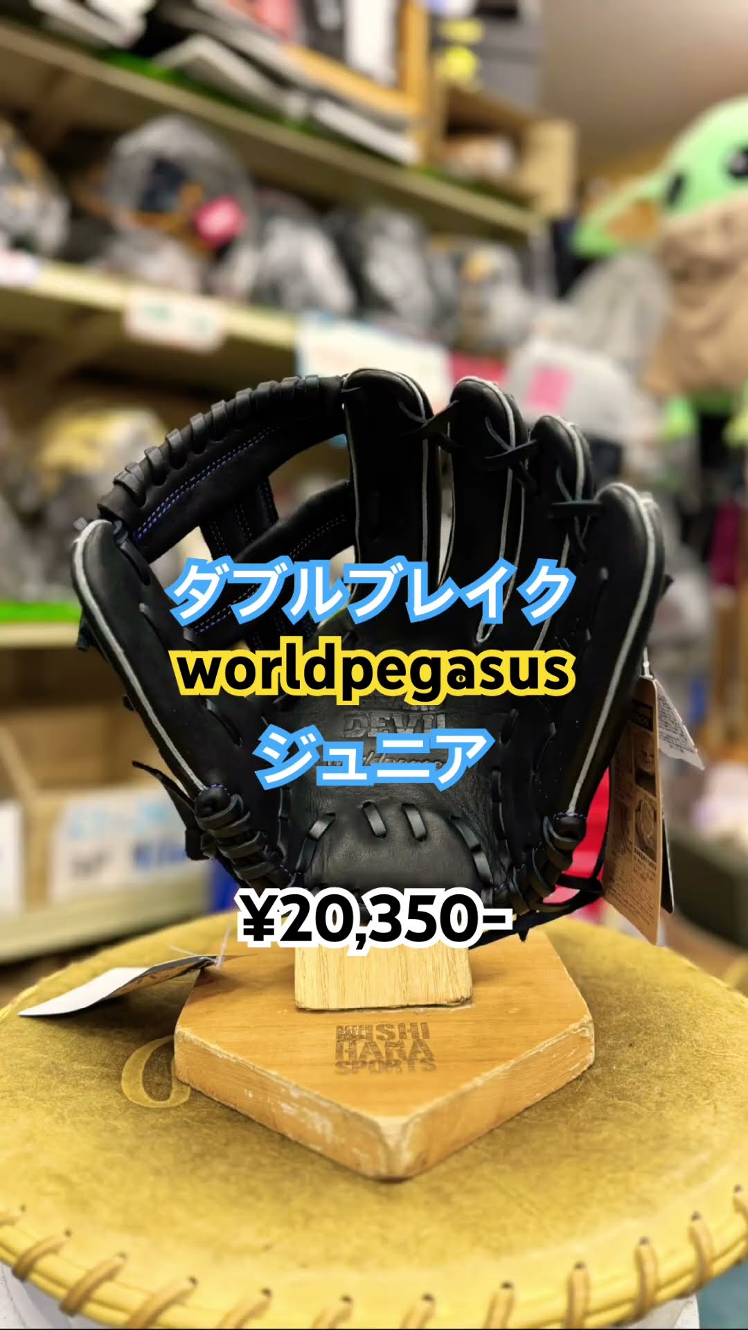 World Pegasus World Pegasus Gloves Junior Gloves Children's Gloves