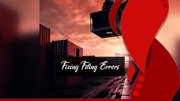 Strategies for Importers to Rectify Errors in Security Filings