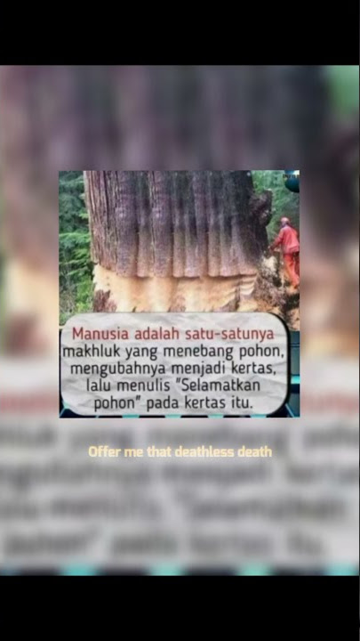 Take me to church - Hozier | Story wa keren 30 detik #SHORT