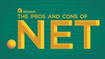 The Pros and Cons of .NET Framework