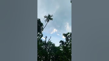 #القرآن_الكريم #راحة_نفسية #تلاوة_خاشعة #يارب #اكسبلور #المصحف