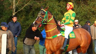 El Oro Puro - Sebastián Almendras El Cuarto De Milla Corridos De Caballos