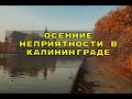 ОСЕННИЕ НЕПРИЯТНОСТИ В КАЛИНИНГРАДЕ