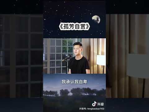 小阿枫 孤芳自赏 （抖音热门歌曲）