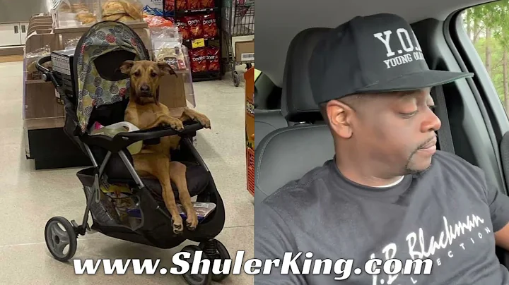 Shuler King - Why Though?