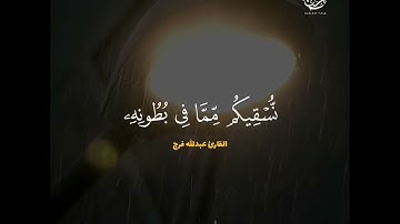 والله انزل من السماء ماء فأحيا به الأرض بعد موتها ♥ بصوت القارئ عبدالله فرج