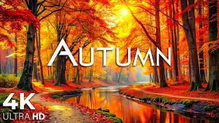 "Peaceful Autumn Moments" Beautiful Relaxing Music Peaceful Soothing Instrumental Music [4K UHD] screenshot 2