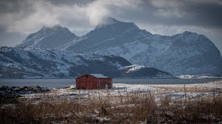 Easter trip to Engeløya and Steigen Lodge!