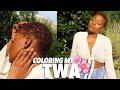 Coloring My Hair | Dark & Lovely 380 Chestnut Blonde