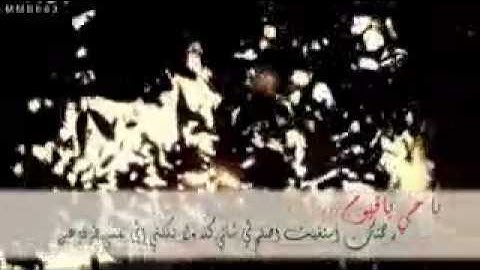 مادمت تقرأ الاذكار فأبشر بالخير - الشنقيطي