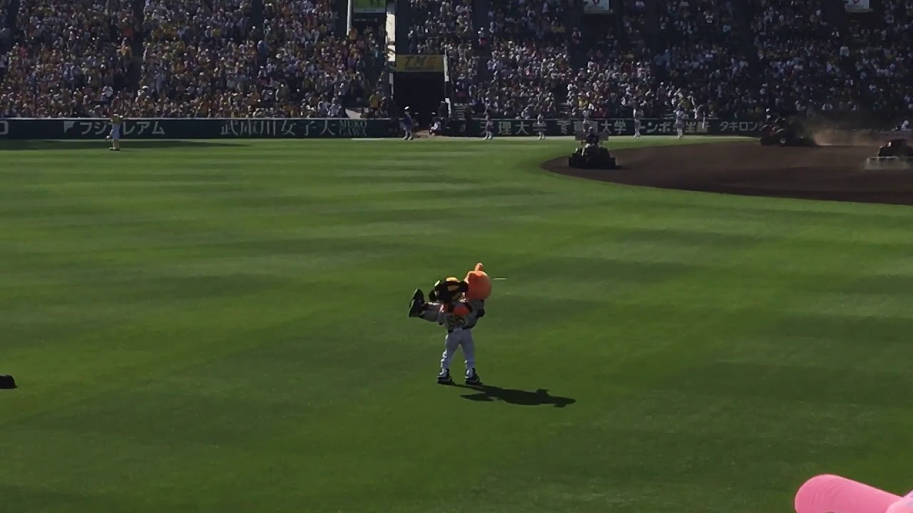 2018/04/21  今日もジャビットとトラッキーは仲良しでした♪