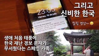 한국-스페인 가족, 한국 재난 경보 문자 받고 깜놀했다가 다음 날 신비로운 풍경에 또 깜놀