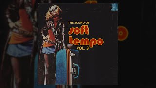 The Sound of Soft Tempo Vol.3 - OUT NOW! screenshot 5