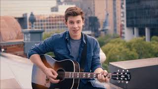 Shawn Mendes - Never Be Alone (tradução)