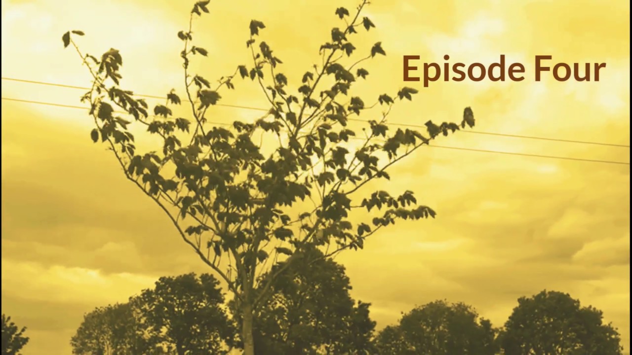 Episode Four     Folk Tales of Southern Ulster      Ms McDonagh