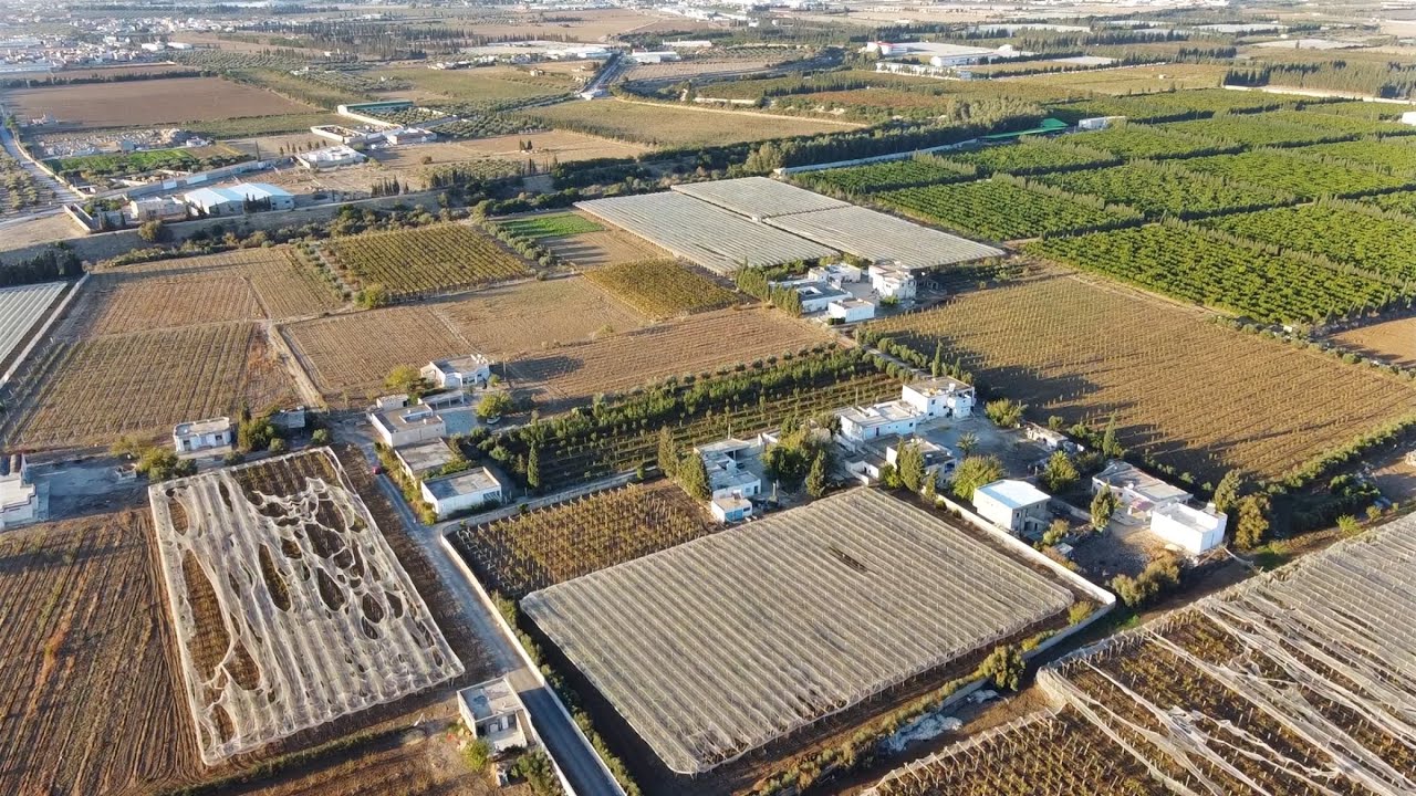 مزرعة عنب روعة مع منزل قرب العاصمة 😍