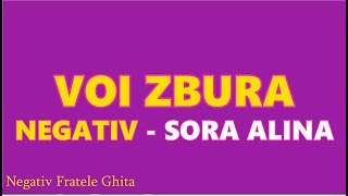 VOI ZBURA - NEGATIV / SORA ALINA