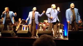 Stay by Maurice Williams & The Zodiacs