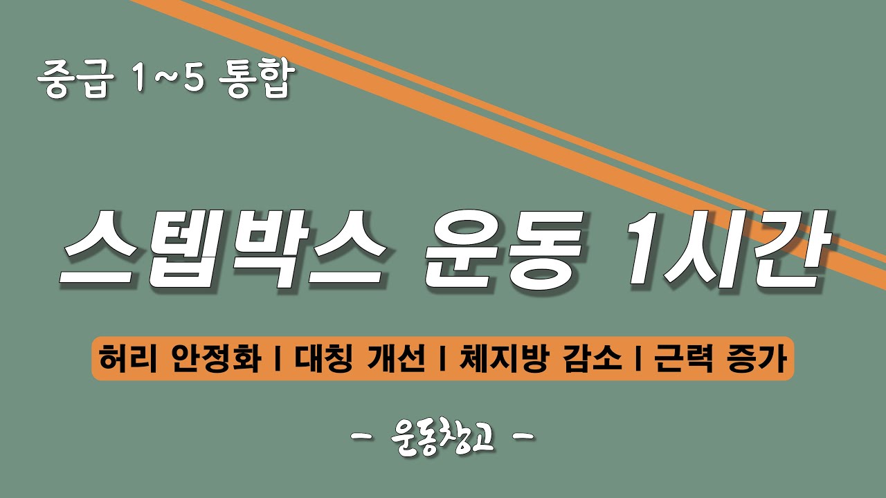 [1~5중급 통합 편] 스텝박스로 다이어트에 성공했다.