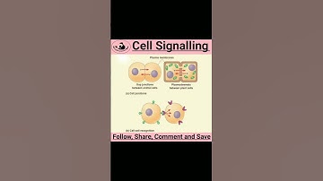 Cell Signaling 👉 NET | GATE #csir #viral #youtubeshorts