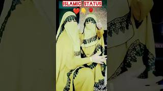 Hajib Baby Girl Status 2023 Mashallah