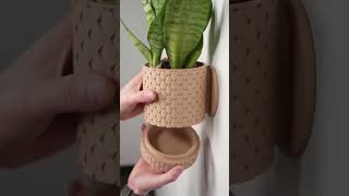 This Wall Planter Is INSANE! 😱