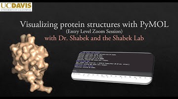 Enter PyMOL (Molecular Structure Visualization System) with Dr. Shabek - UC Davis (for beginners)