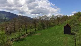 Cuvantul Tau    /  Otniel Stirb