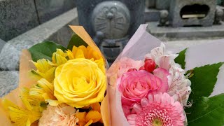 ドラえもん【父の日】藤子F不二雄  お墓参り 20230618 黄色い花束と