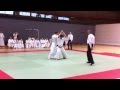 Aikido toriwaza randori  takeda ryu nakamura ha