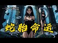 【蛇胎命运】EP1-幼时,苏婉因父亲烧死蛇而遭遇家族诅咒,唯她活到18岁,奶奶带她找神婆,她意外与白蛇缠上...怀上蛇胎,承受婴灵索命的苦...《蛇胎命运》#一口气看完 #小说#蛇が出るか