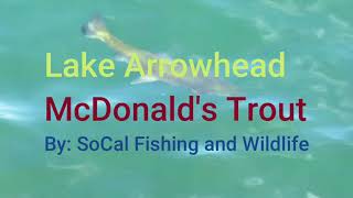 Lake Arrowhead Village: The McDonald's Trout