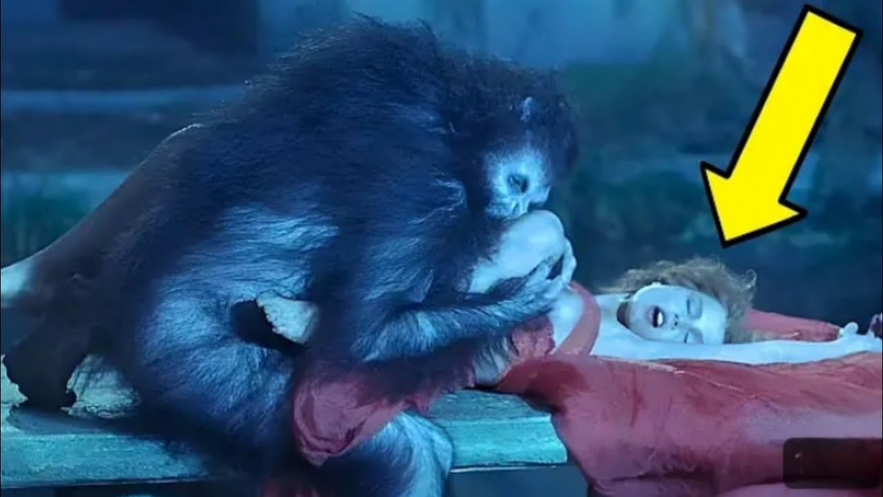 Bram Stoker’s Dracula (1992) — 10 Weird Facts You Didn’t Know | MOVIXA